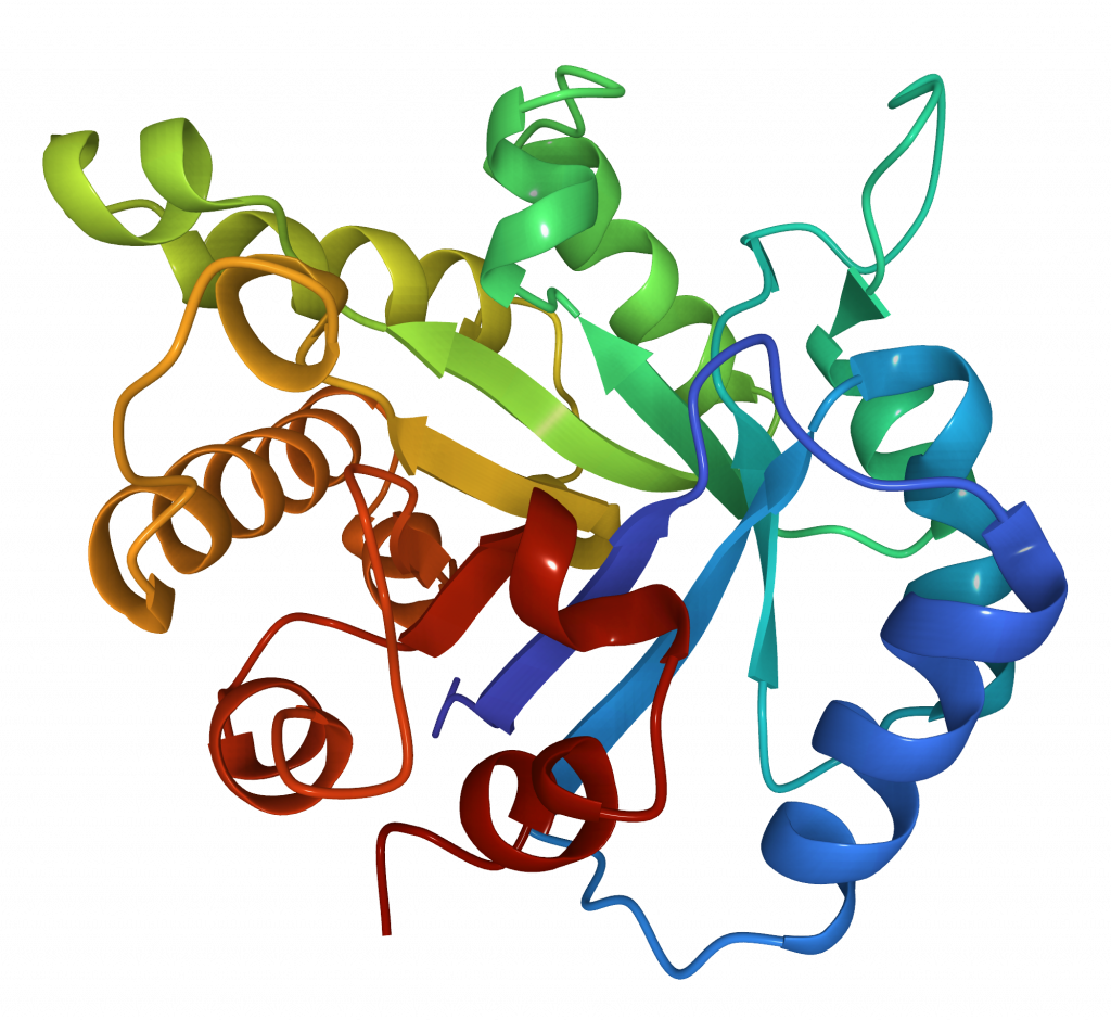 image of a 3D protein folding structure