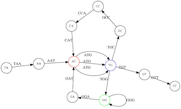 Similar graph as above but now edges are only labelled by sequences, no more numbers.