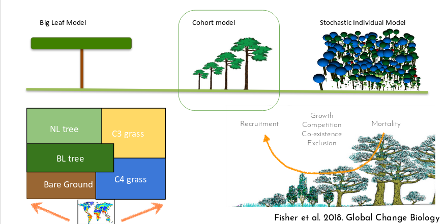 Ecological processes