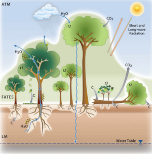 Ecological realism