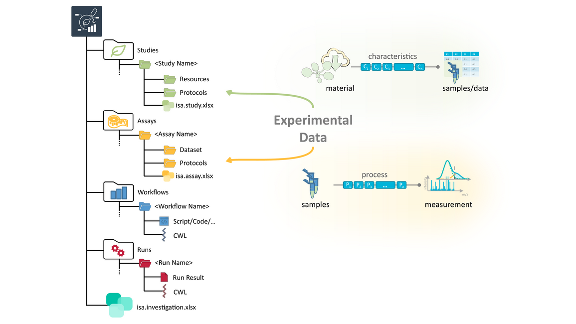 arc folder structure highlighting the studies and assays folder as places for storing experimental data