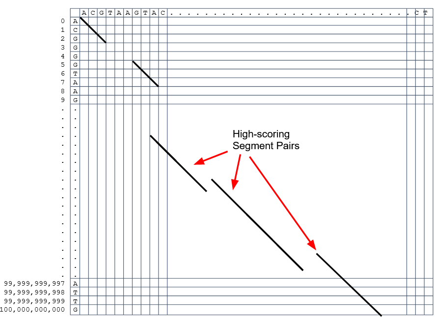 Multiple aligned k-mers are grouped into larger runs of sequence and labelled high-scoring pairs.