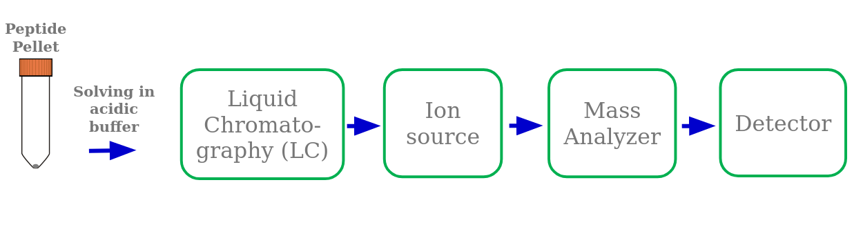 peptide pellet from previous slide is solved in acidic buffer followed by: liquid chromotography, ion source, mass analyzer, detecter.