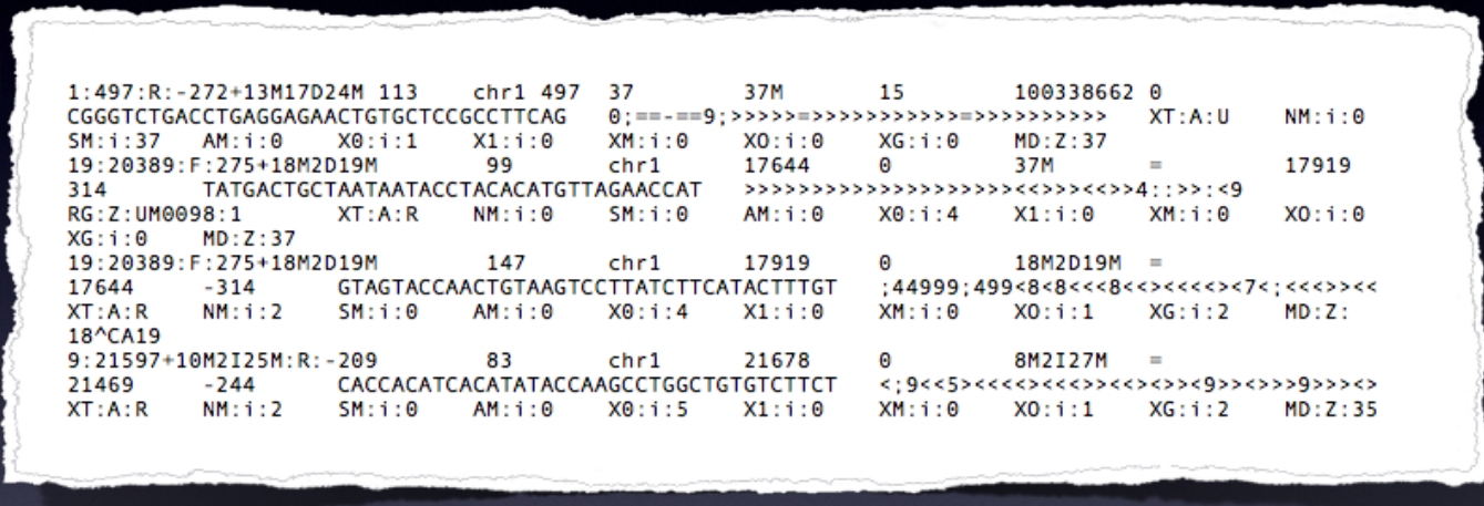 Example of SAM file format