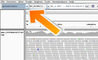 Select genome in IGV