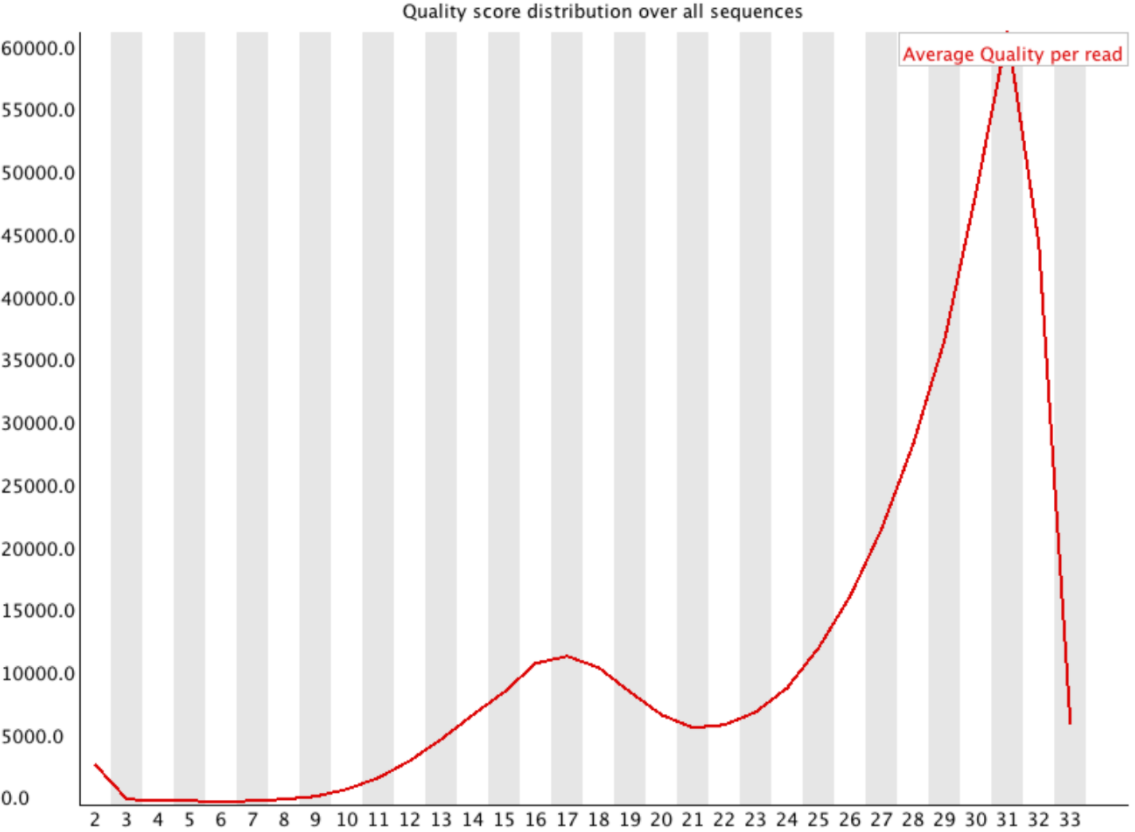 A per-sequence quality showing quality score distribution histogram with average quality per read plotted. Most reads pile up around quality 30, but another peak appears at 17. very few reads have quality less than 10.