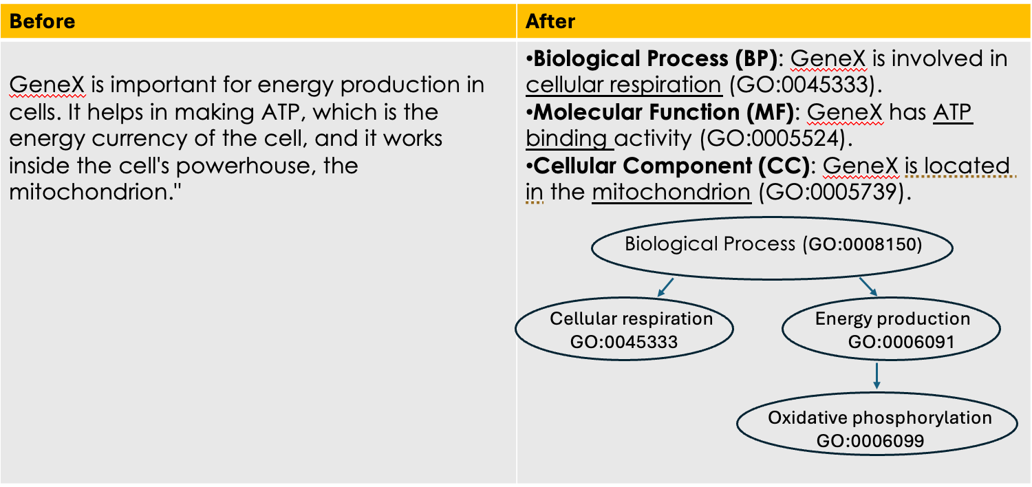 slide10