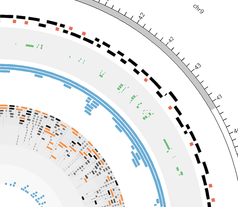 Example of a Circos tile track